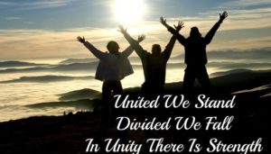 United we stand divided we fall