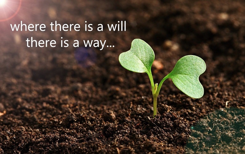 Where there is a will there is a way | Meaning and Proverb ...