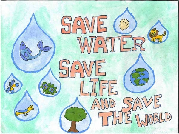 save water save life essay