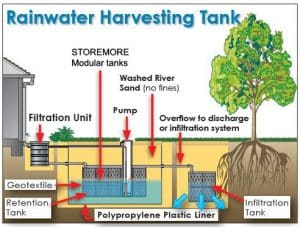 essay on rain water harvesting