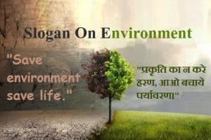 Yeshiva university dean's scholarship picture