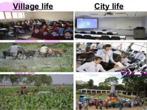 Essay of city life