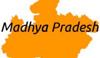 NTSE Madhya Pradesh 2019