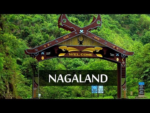 Nagaland B.Sc. Nursing 2019