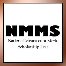 NMMS logo