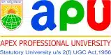Apex Professional University 