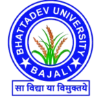 Bhattadev University logo